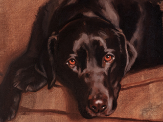 black-lab3