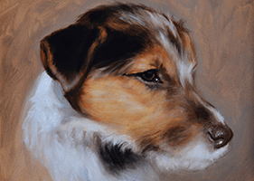 jack-russell-puppy