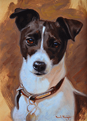 jack-russell