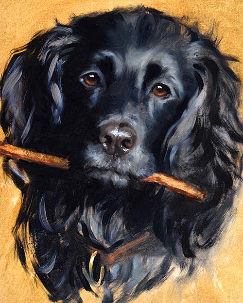 Oil Portrait Painting of a black dog, by portrait artist, Hazel Morgan in her portrait studio
