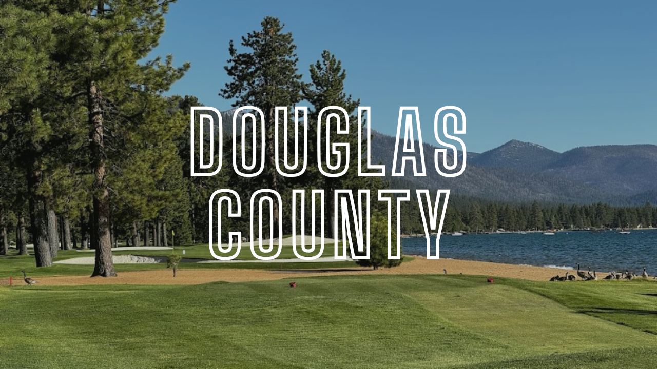 Portrait Painter Douglas County