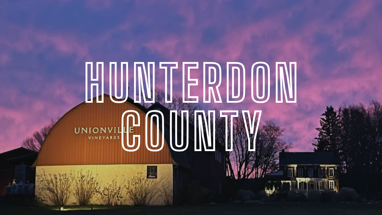 Portrait Painter Hunterdon County, New Jersey