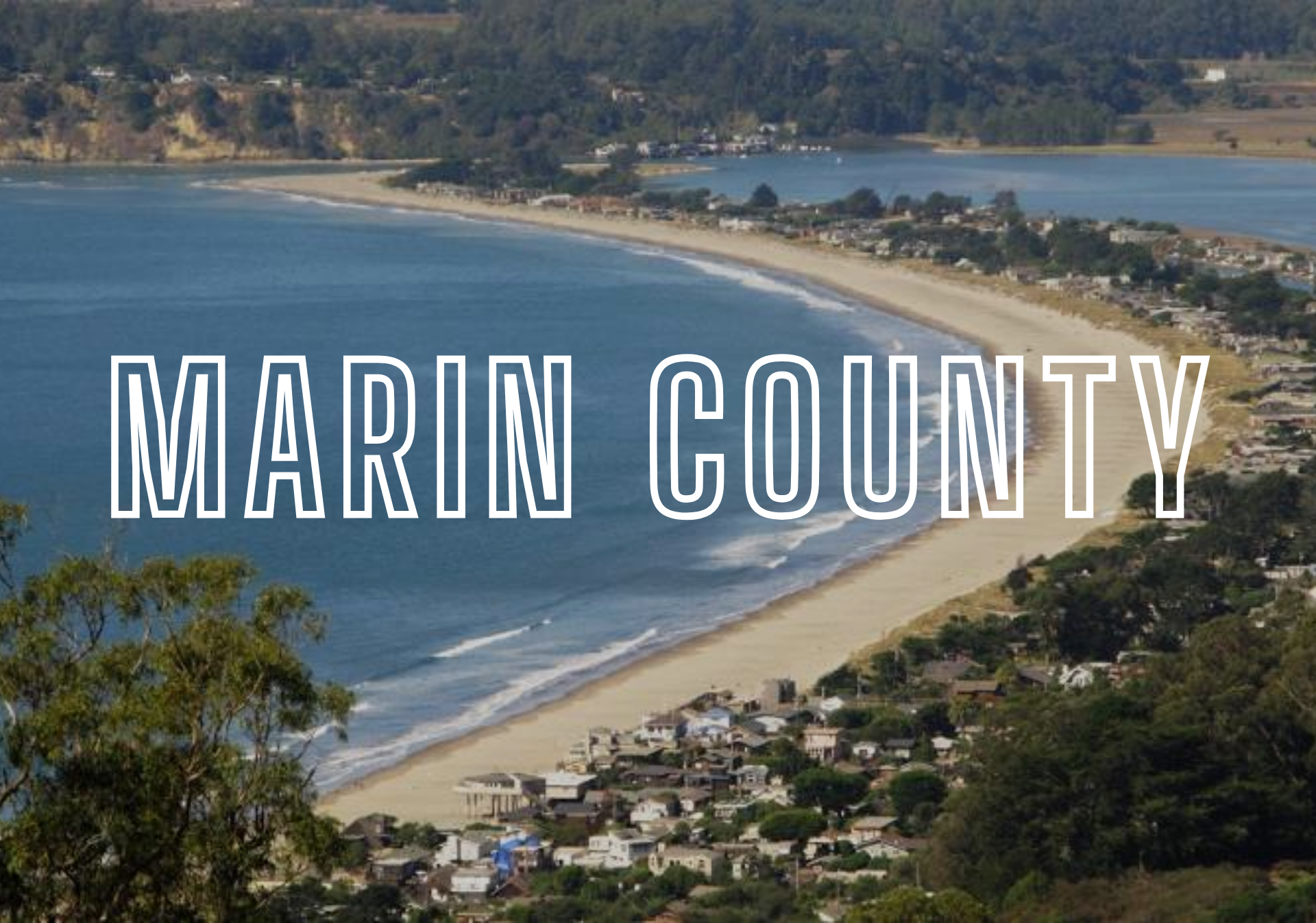 Portrait Painter Marin County