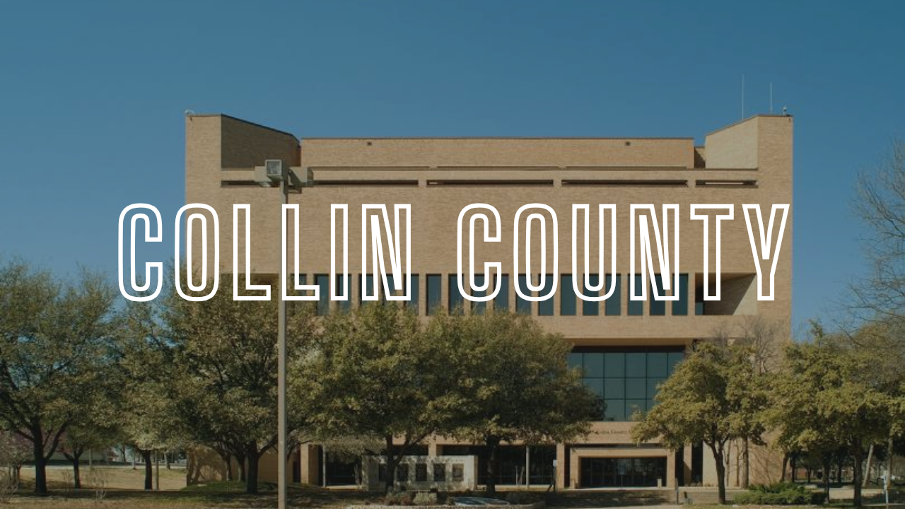 Portrait Painter Collin County, Texas