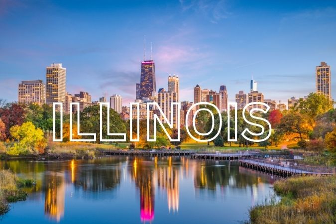 Portrait Artist Illinois