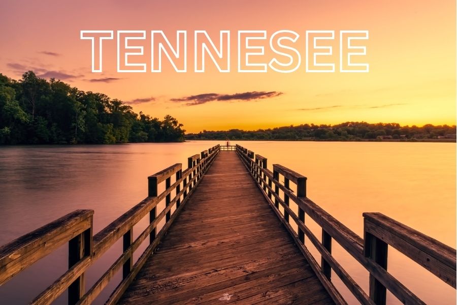 Portrait Painter Tennessee