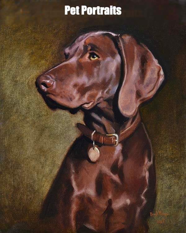 Pet Portraits by Hazel Morgan